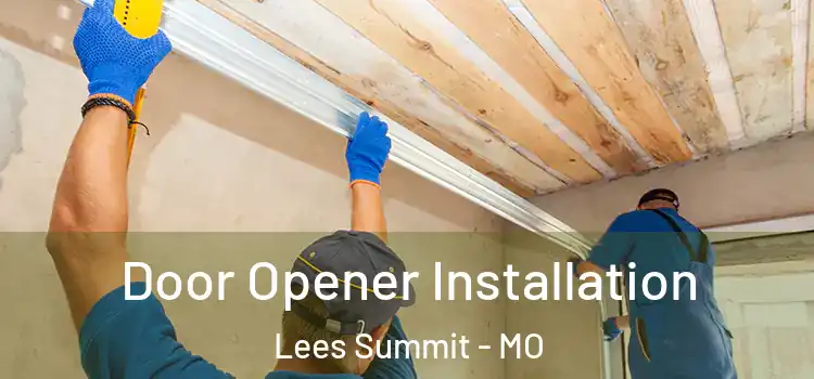 Door Opener Installation Lees Summit - MO