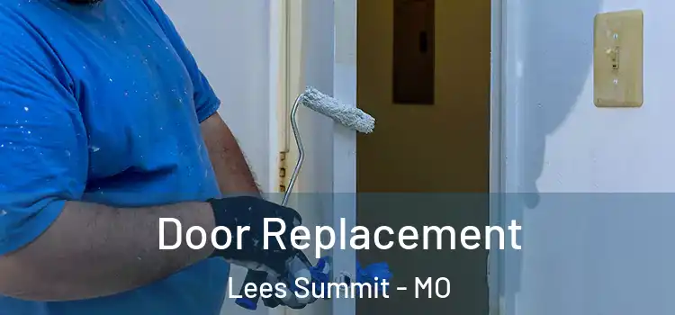  Door Replacement Lees Summit - MO