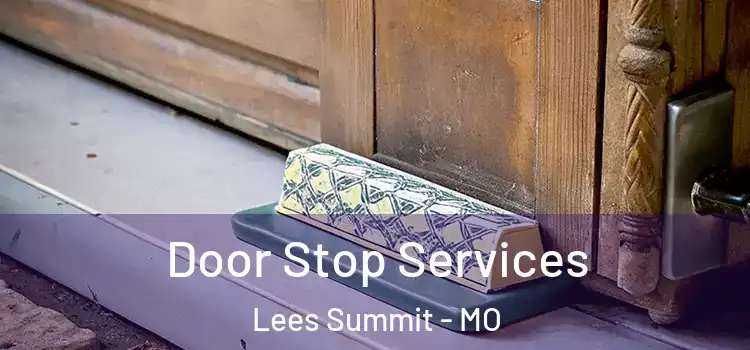Door Stop Services Lees Summit - MO