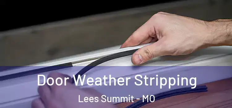 Door Weather Stripping Lees Summit - MO