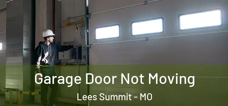  Garage Door Not Moving Lees Summit - MO
