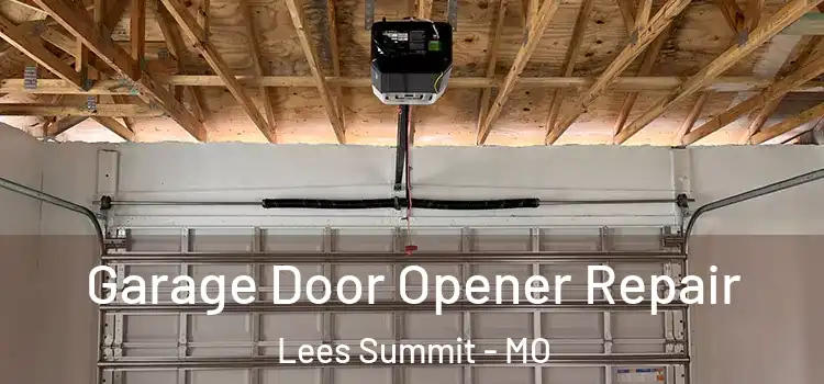  Garage Door Opener Repair Lees Summit - MO