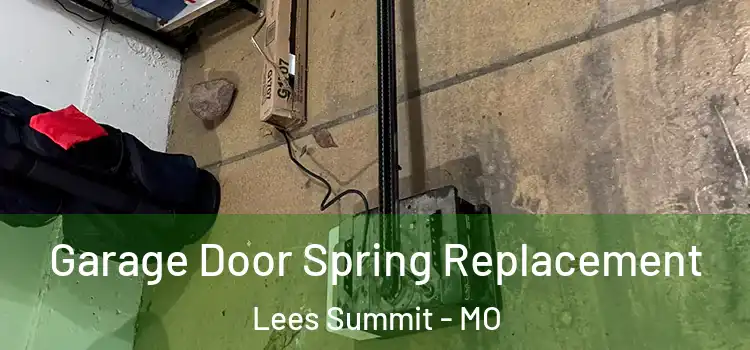  Garage Door Spring Replacement Lees Summit - MO