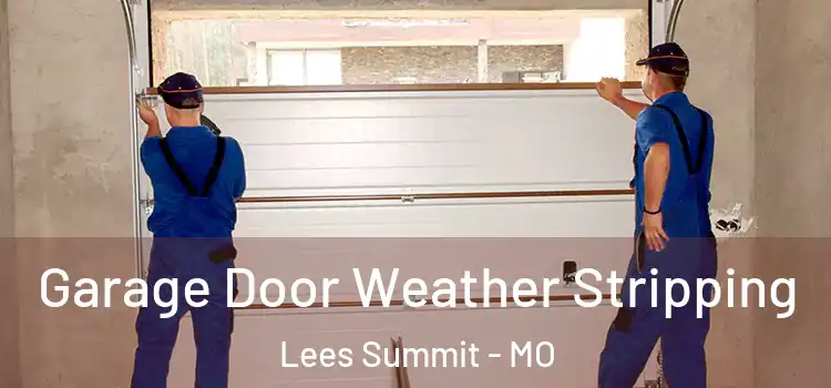  Garage Door Weather Stripping Lees Summit - MO