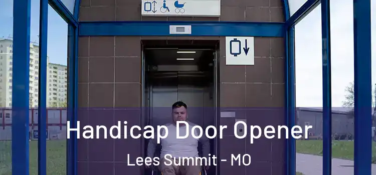 Handicap Door Opener Lees Summit - MO