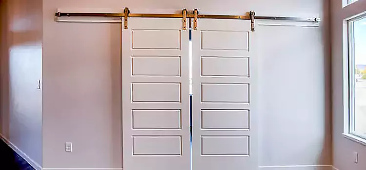 Glass Barn Door with Installation Hardware Kit Lees Summit