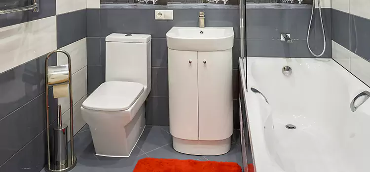 Hansgrohe Shaving Mirror Lees Summit
