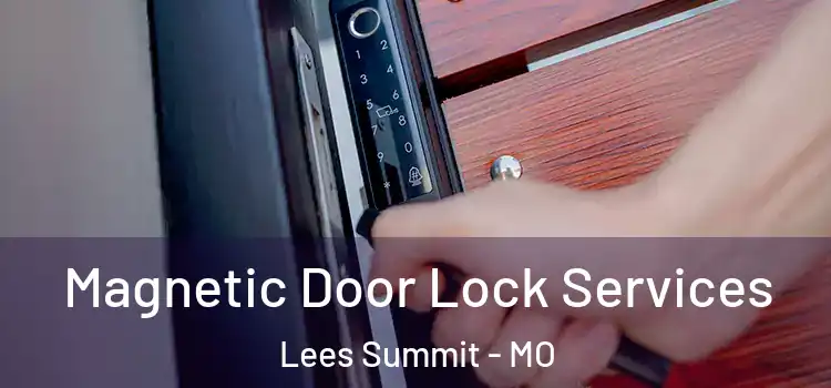 Magnetic Door Lock Services Lees Summit - MO