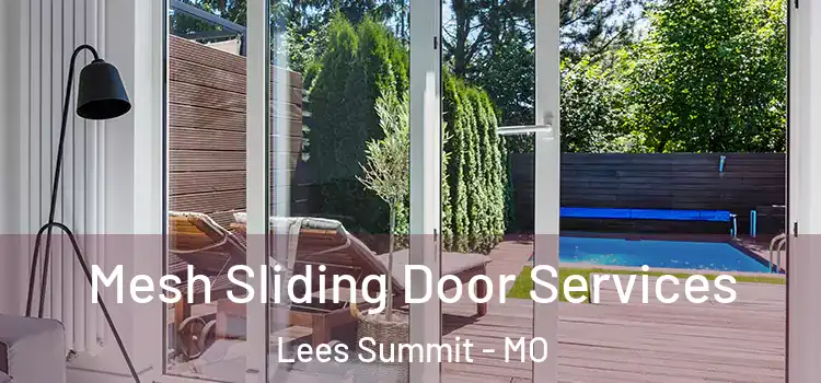 Mesh Sliding Door Services Lees Summit - MO