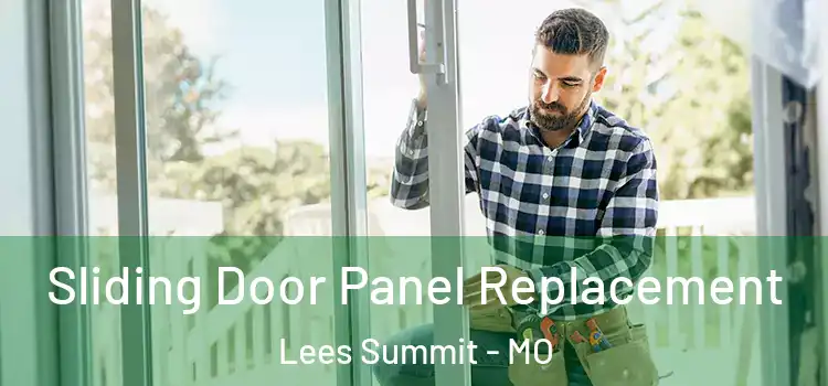  Sliding Door Panel Replacement Lees Summit - MO