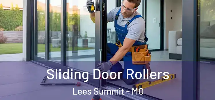 Sliding Door Rollers Lees Summit - MO