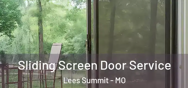 Sliding Screen Door Service Lees Summit - MO