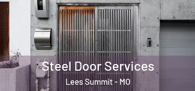  Steel Door Services Lees Summit - MO